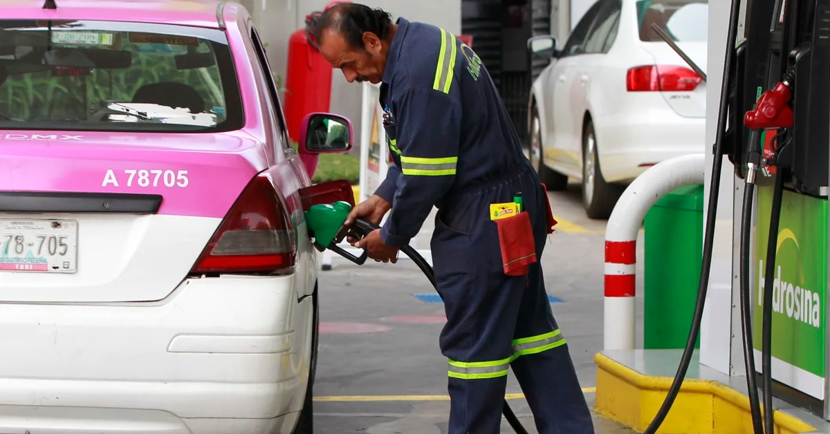 Gasolina no aumentará de precio gracias a nuevo estímulo fiscal del Gobierno Federal | Infobae 