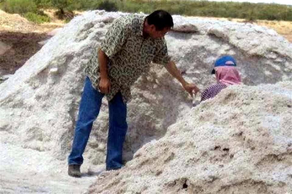 Va Gobierno por litio; cuestionan proyecto | Reforma