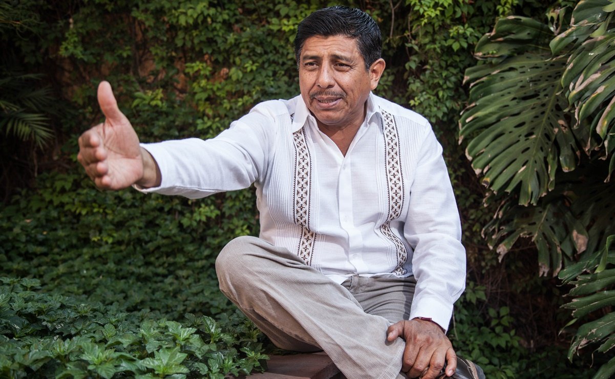 Tribunal Electoral ratifica candidatura de Salomón Jara a gobierno de Oaxaca | El Universal