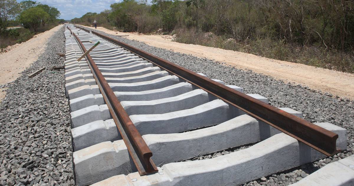 Trabajadores del Tren Maya cierran empresa que se niega a pagarles | El Financiero 