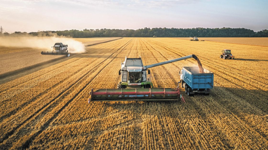 Rusia pone al mundo en riesgo de una hambruna, advierte la UE | El Economista