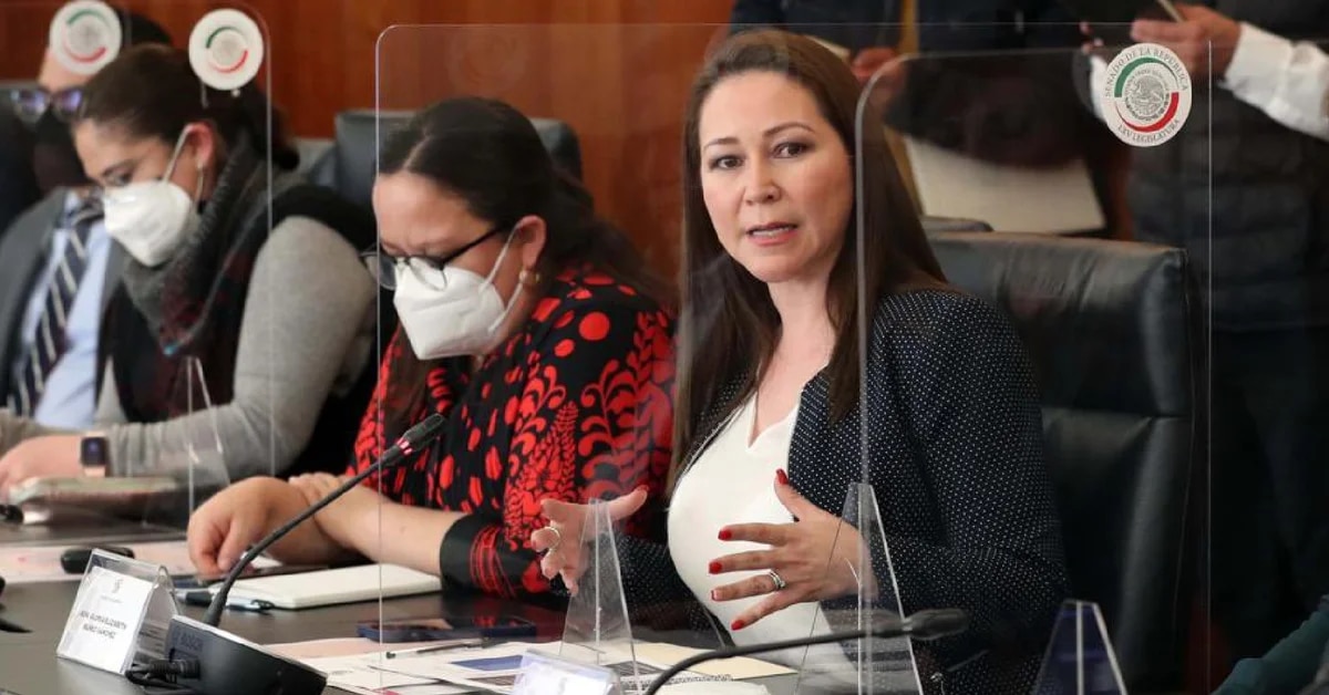 El PAN se debilitó: Gloria Núñez, tras abandonar al albiazul, se sumó a Movimiento Ciudadano en el Senado | Infobae