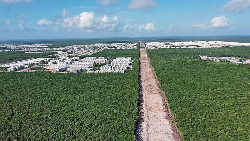 Tren Maya: en marcha lenta, destructiva y onerosa | Proceso