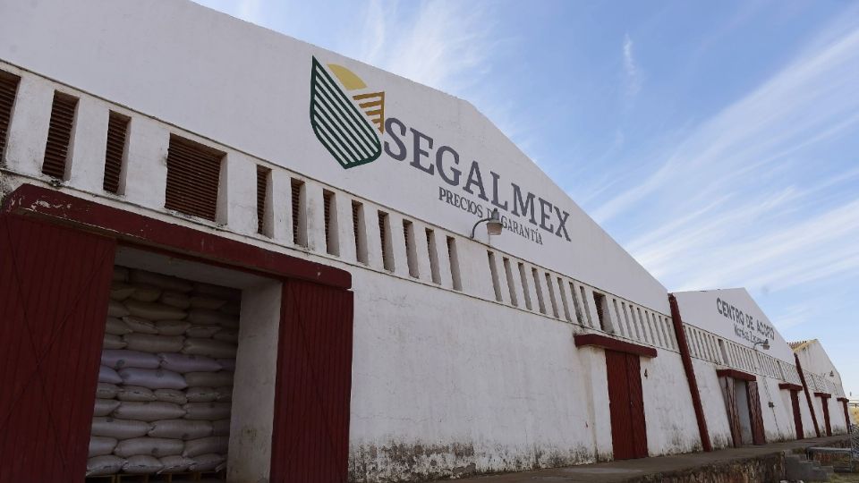 Exdirector de Administración de Segalmex, vinculado a proceso por uso indebido de recursos | La Silla Rota
