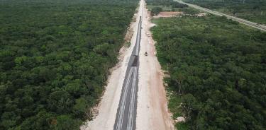 Indígenas y activistas insisten en frenar Tren Maya; aseguran es un «ecocidio» | Crónica 