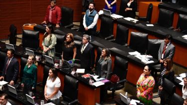 Declaran constitucional la reforma que reduce edad mínima para ser diputado y secretario de Estado | Proceso