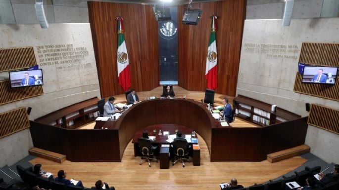 El #INE deberá investigar encuestas que dan ventaja a Sheinbaum: Tribunal Electoral | Proceso