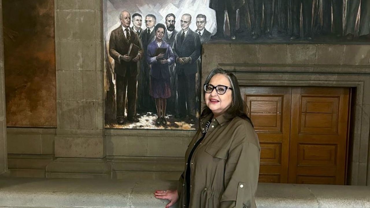 #NormaPiña: “Los derechos humanos están riesgo sin una división de poderes” | La Silla Rota