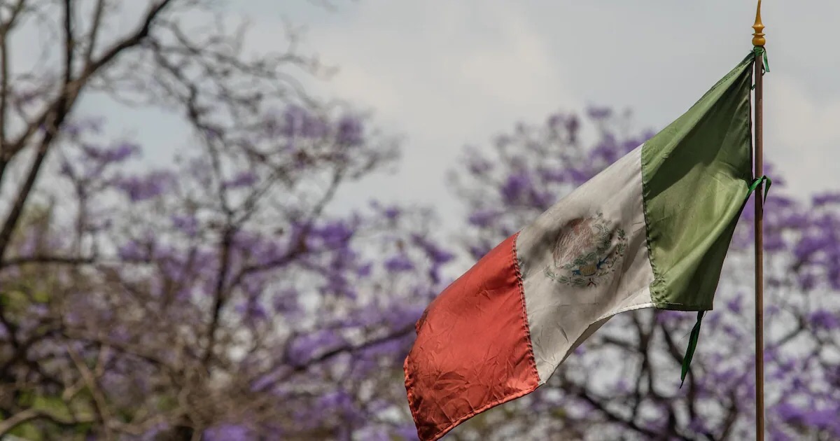 #FMI da doble ‘tijeretazo’ a México: Recorta pronósticos de 2024 y 2025 por postura fiscal restrictiva | El Financiero