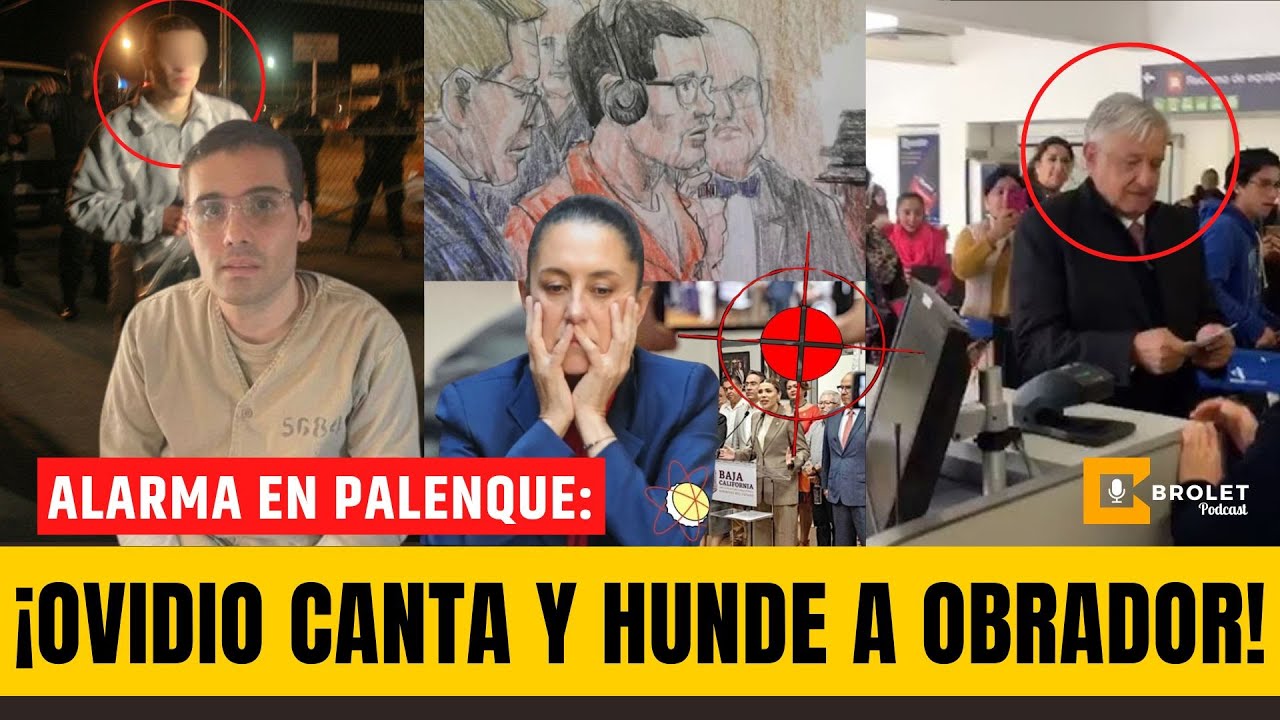 Ovidio hace temblar a #AMLO y #Sheinbaum | Brolet