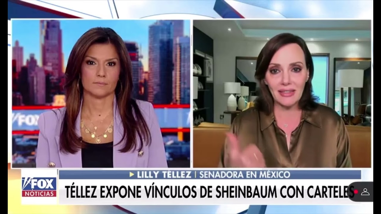 Los #mexicanos queremos ayuda contra cárteles porque son #terroristas, aunque #Sheinbaum lo niegue | Lilly Téllez