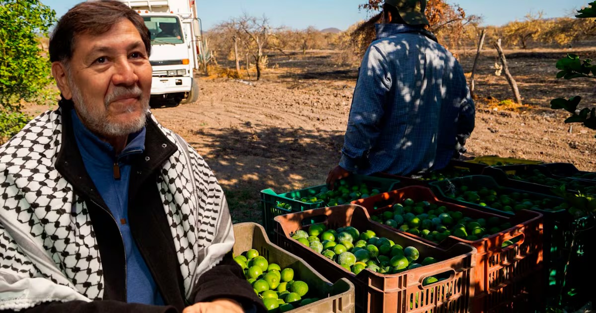 #Noroña viajará a #Palestina: ‘Debería ir a #Apatzingán, que hable por los limoneros’, señala líder priista | El Financiero